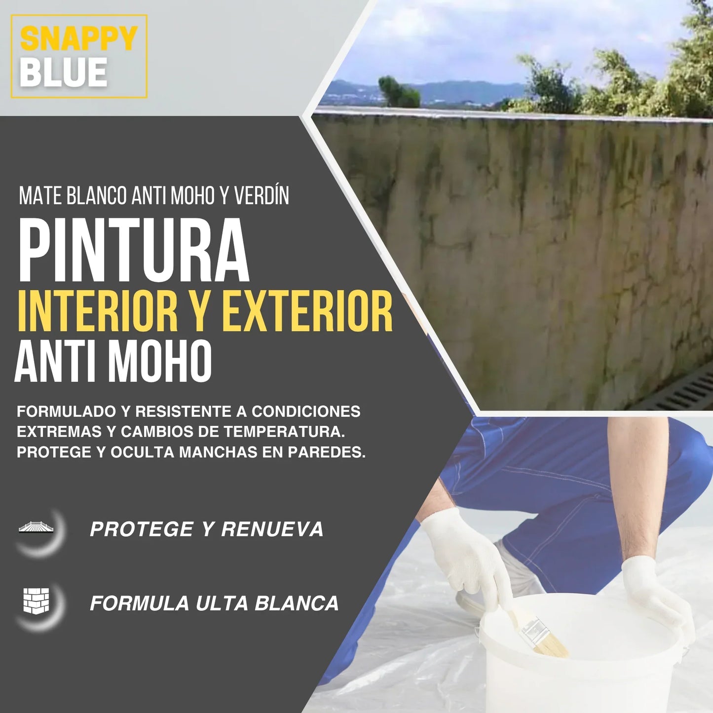 Pintura Plástica Mate Vinílica