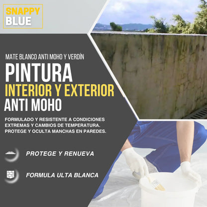 Pintura Plástica Mate Vinílica
