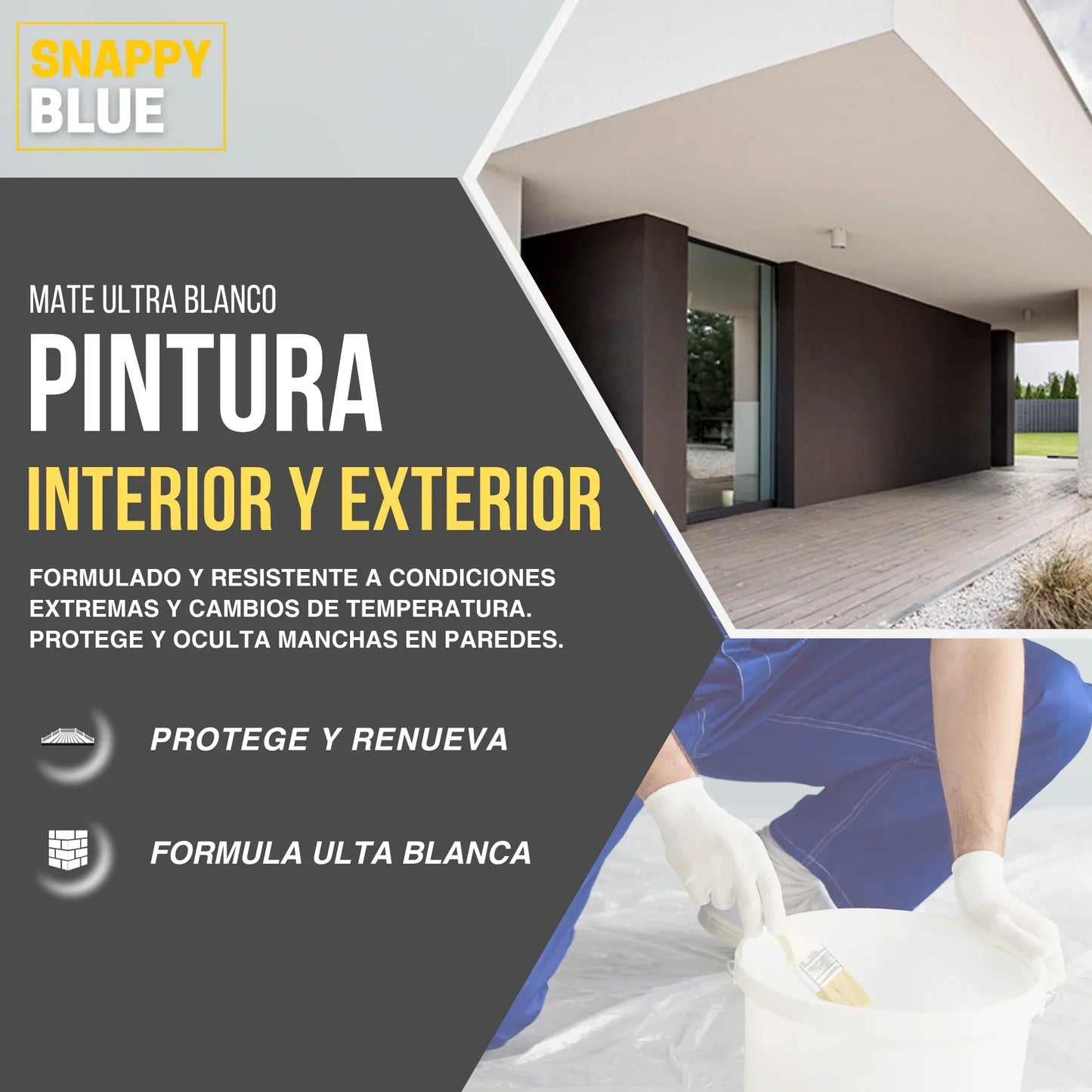 Pintura Plástica Mate Único