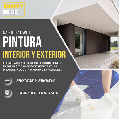 Pintura Plástica Mate Único