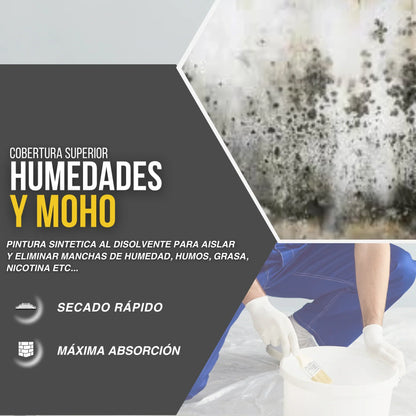Pintura Sintética Quitamanchas Antihumedad