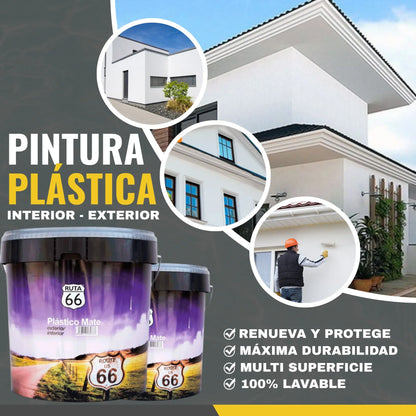 Pintura Plástica Mate Exterior