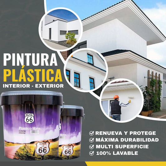 Pintura Plástica Mate Exterior