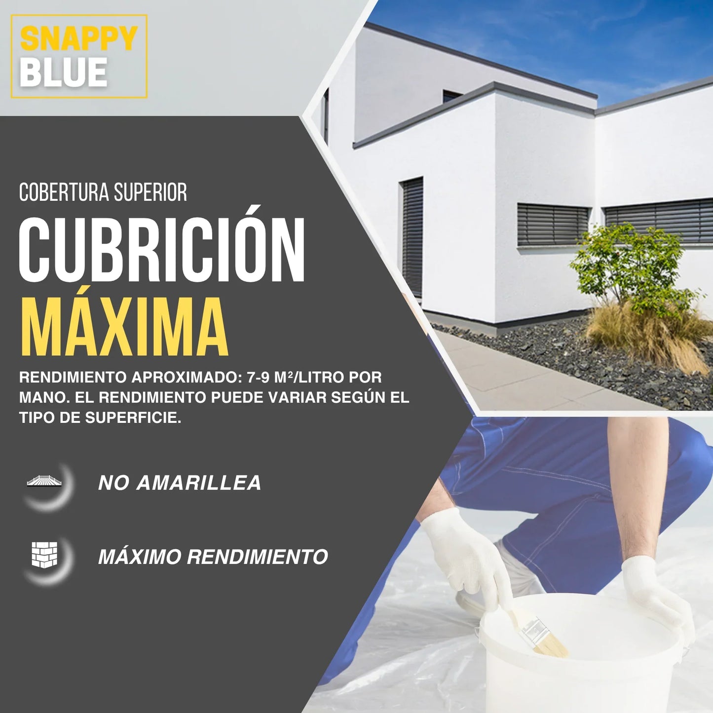 Pintura Plástica Mate Exterior