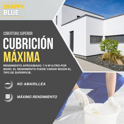 Pintura Plástica Mate Exterior