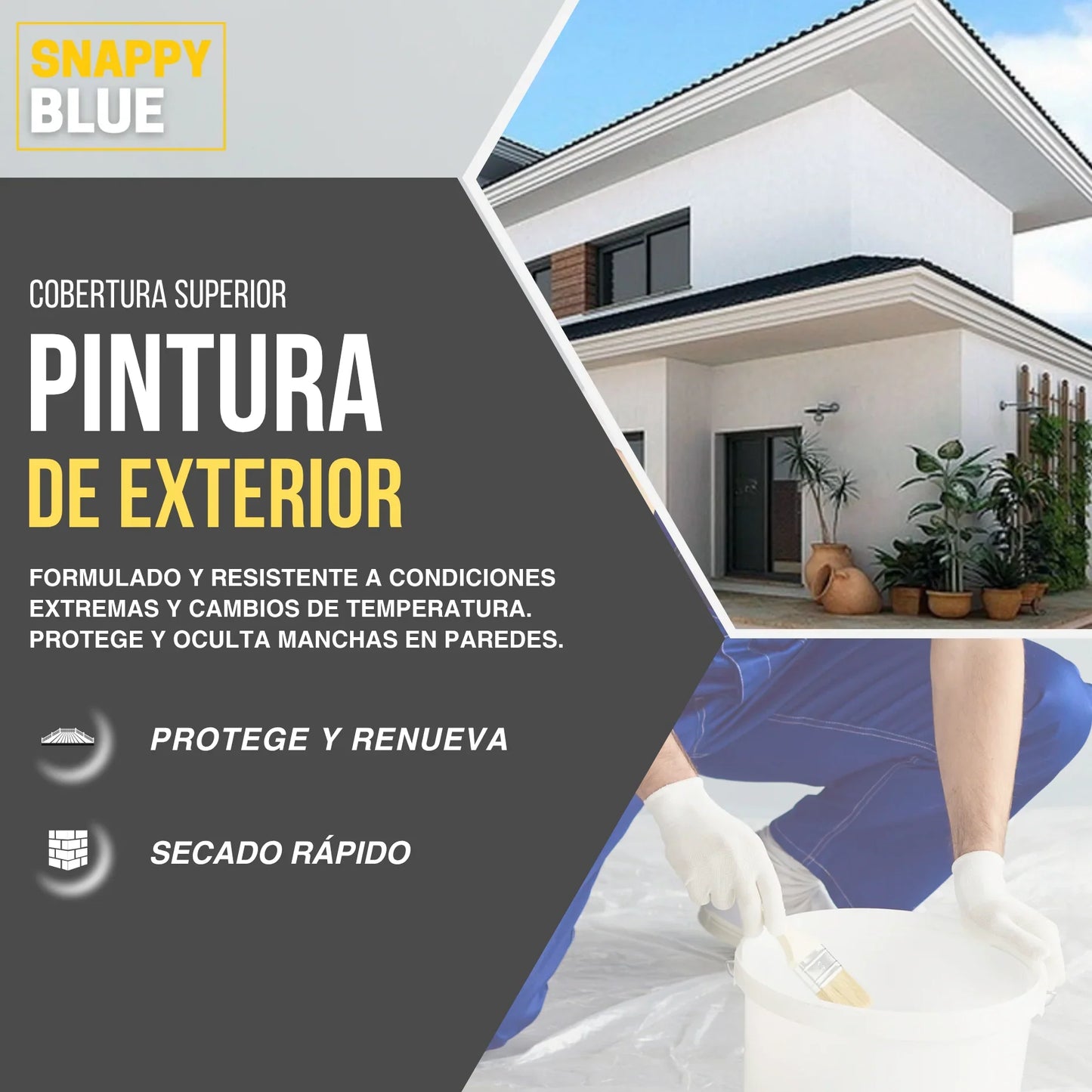 Pintura Plástica Mate Exterior