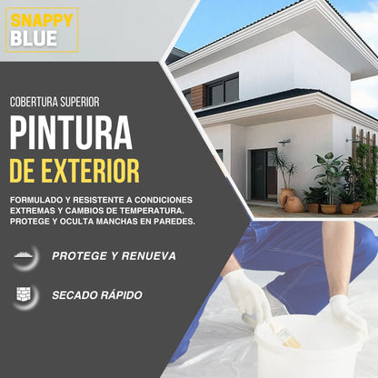 Pintura Plástica Mate Exterior